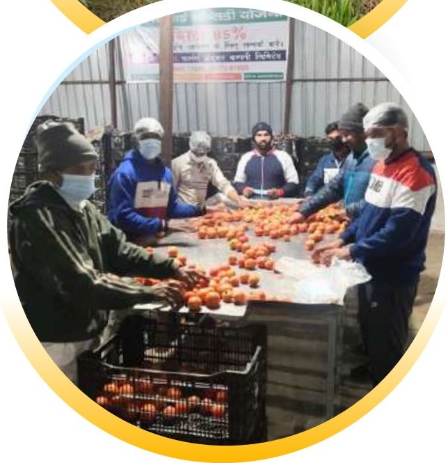 Farmer Procurement