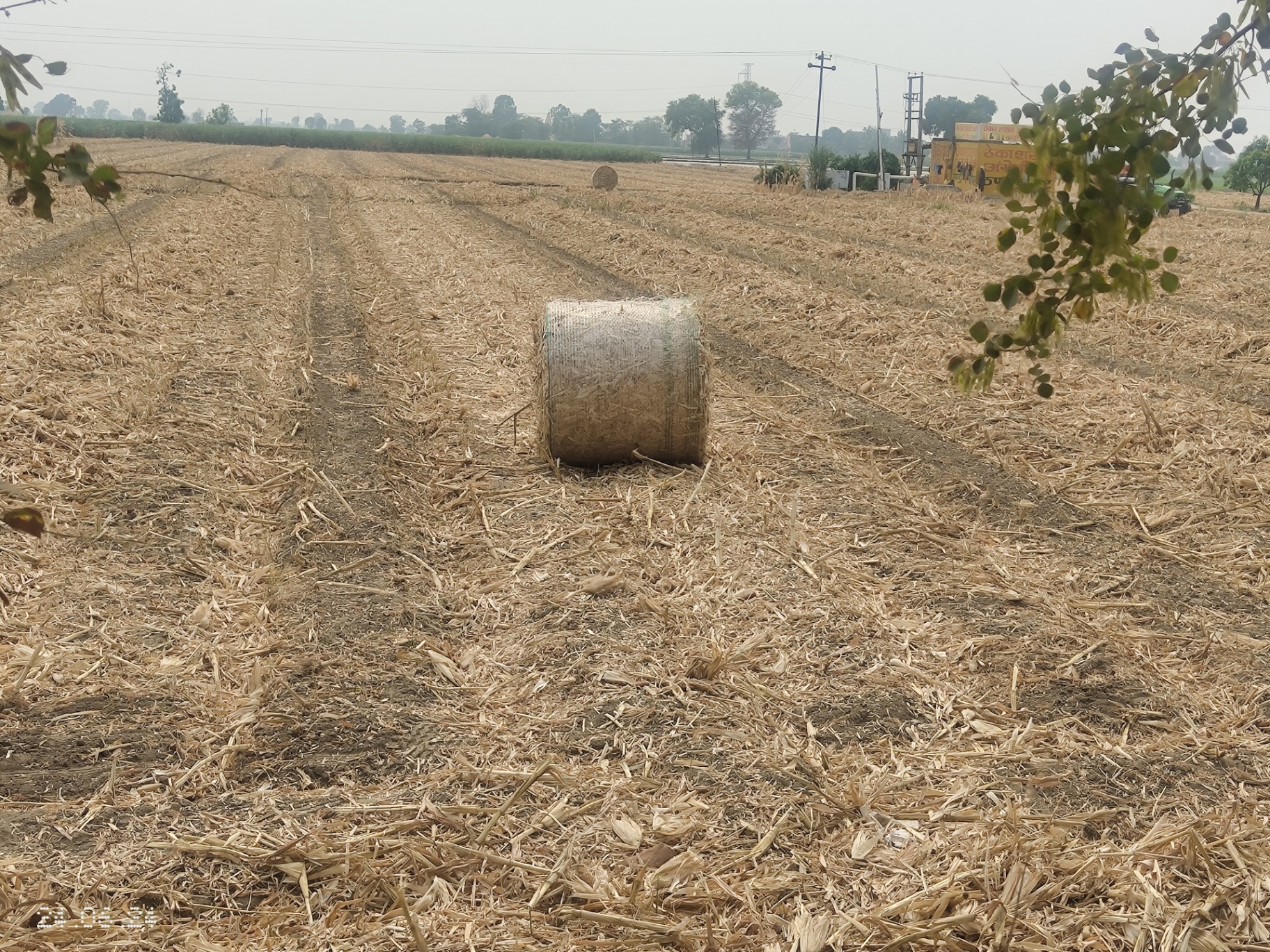Single round bale on a harvested field