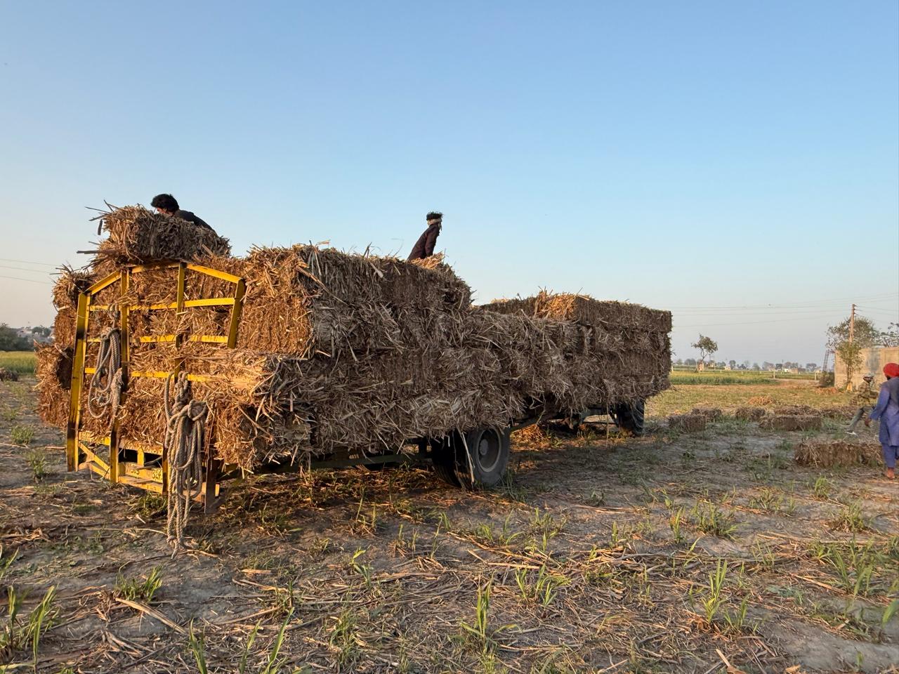 Twin trolleys stacked with straw bales